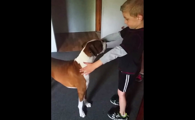 This Little Boy Asks For A Hug – What This Dog Did Blew Everyone Away