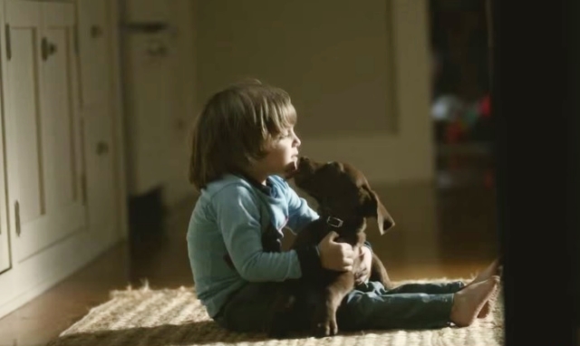Boy And His Dog Show Us How Powerful Human-Dog Bonds Can Be