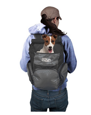 12 Hilarious Human Products Made Just For Dogs – iHeartDogs.com