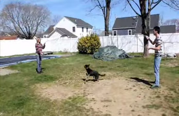 This Dog ROCKS At Double Dutch - We Bet You've NEVER Seen Anything Like It!