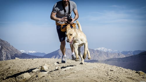 7 Signs Your Dog Definitely Needs More Exercise