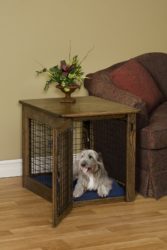 10 Questions To Answer Before Buying A Dog Crate