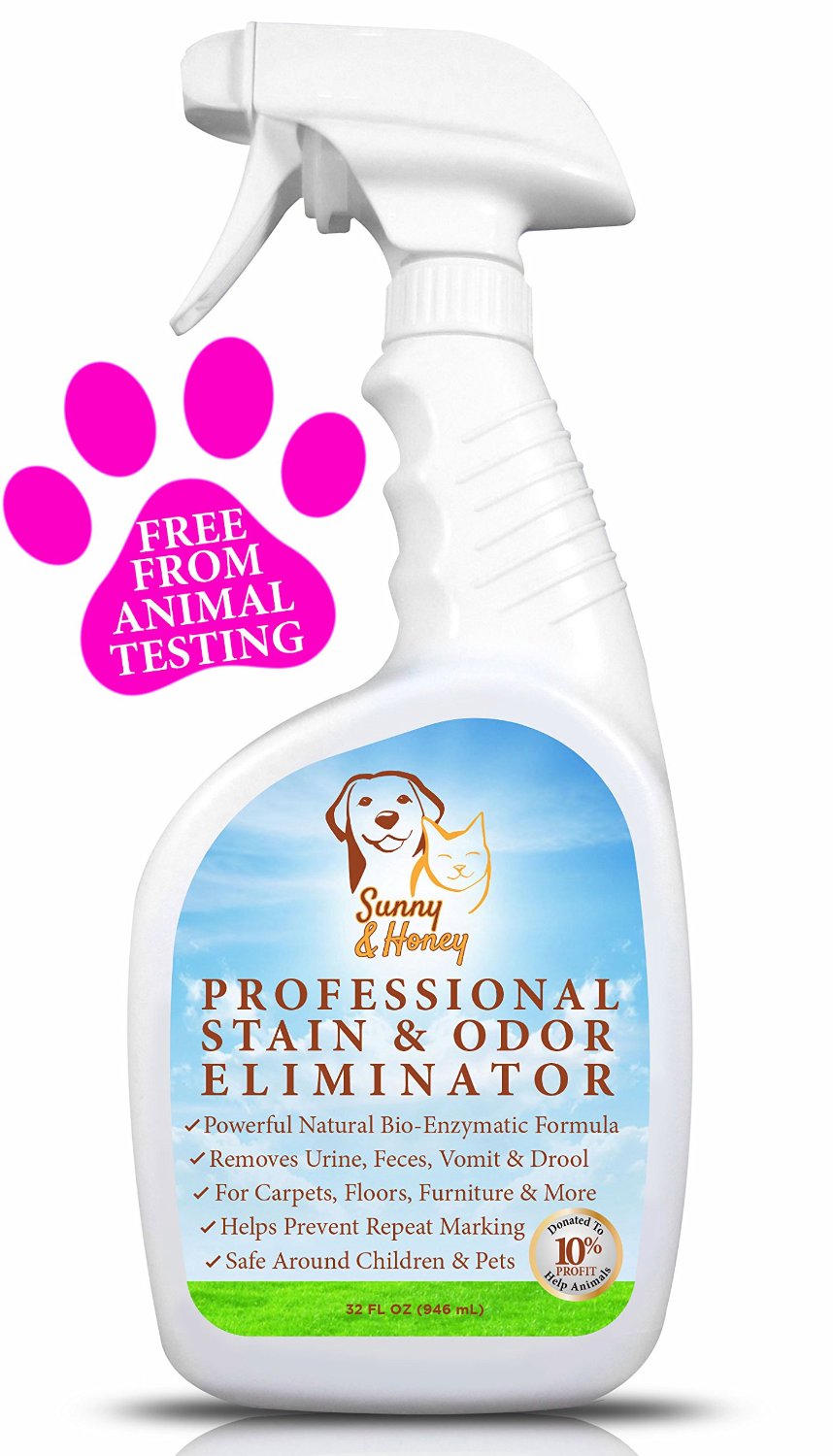 10 Simple Ways To Keep Your House From Smelling Like A Kennel