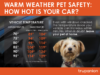 Washington 18th State To Enact Law To Help Save Dogs From Hot Cars