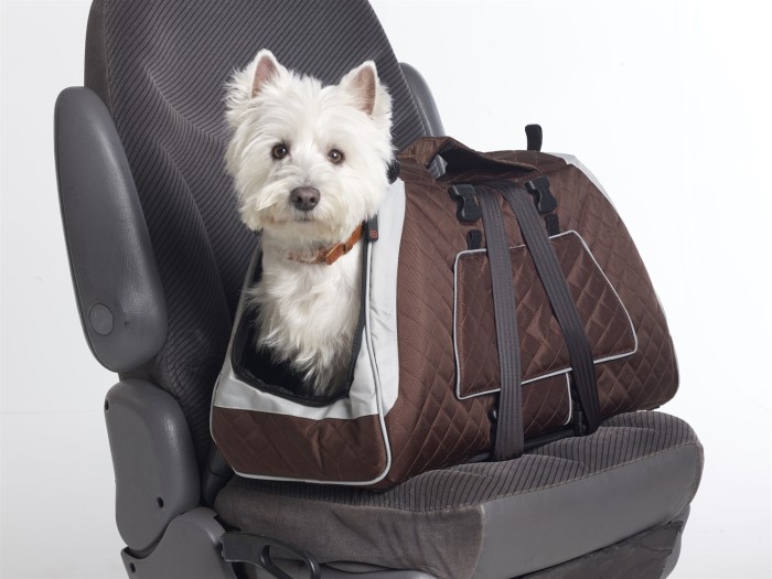 How Safe Is Your Crate In A Car Accident? Center For Pet Safety