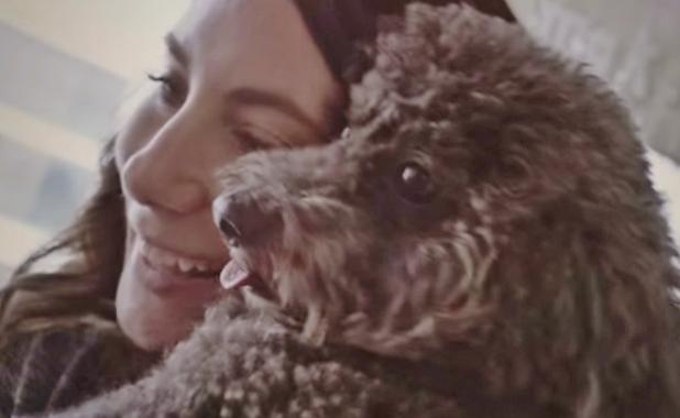 This Video Shows Exactly What It’s Like To Fall In Love With A Dog