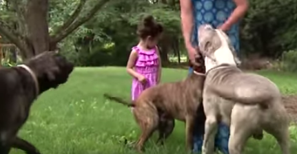 Family's Three Rescued Dogs Save Their Toddler From A Bear