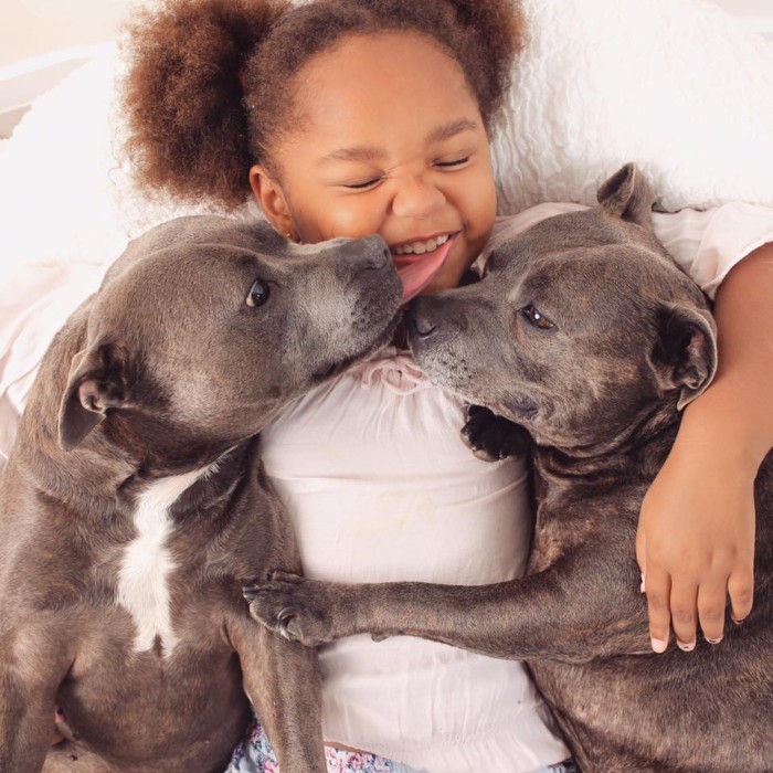 Pictures Of These Famous Pittie Brothers Will Abolutely Melt You