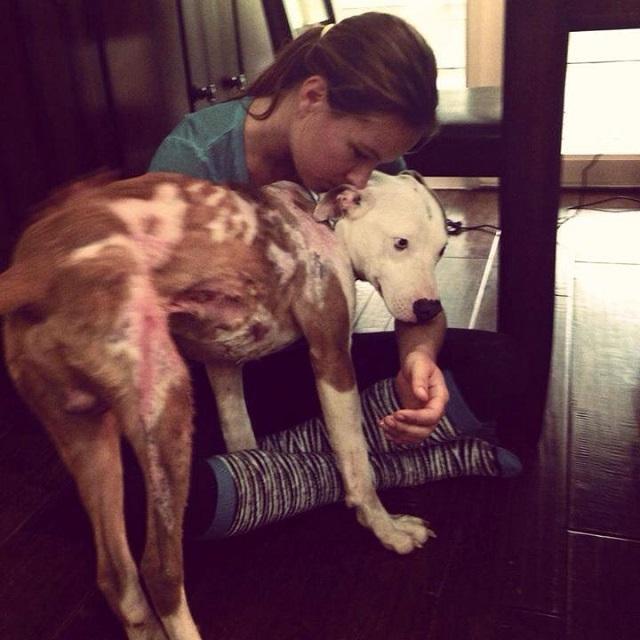 Photo Source: C.A.M.O. - Facebook