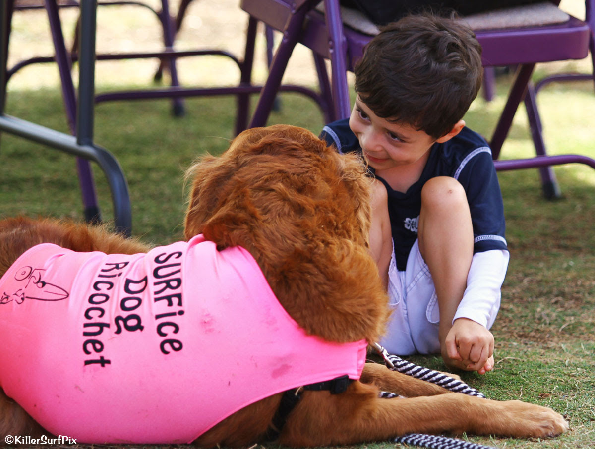 This Dog Helps Kids With Disabilities Enjoy The Ocean For The First ...