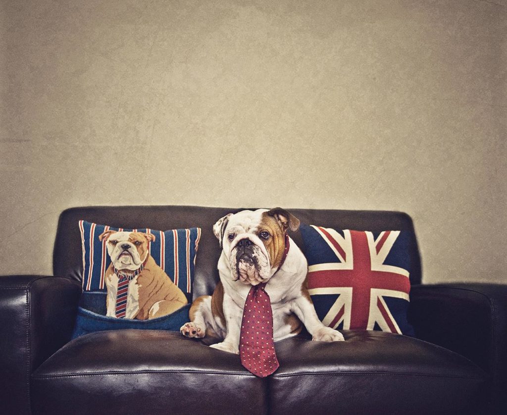 Image source: Serena Hodson