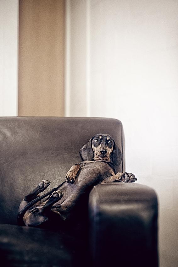 Image source: Serena Hodson