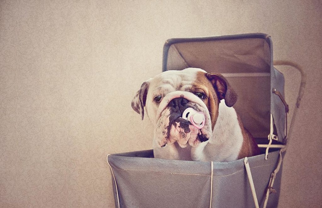 Image source: Serena Hodson