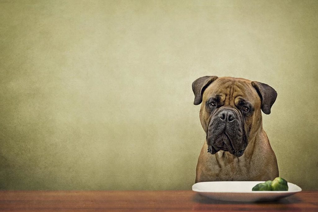 Image source: Serena Hodson