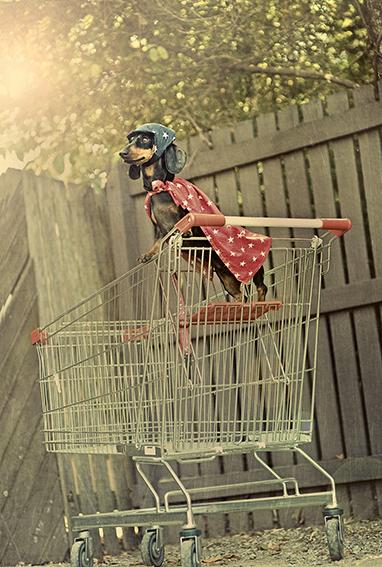 Image source: Serena Hodson