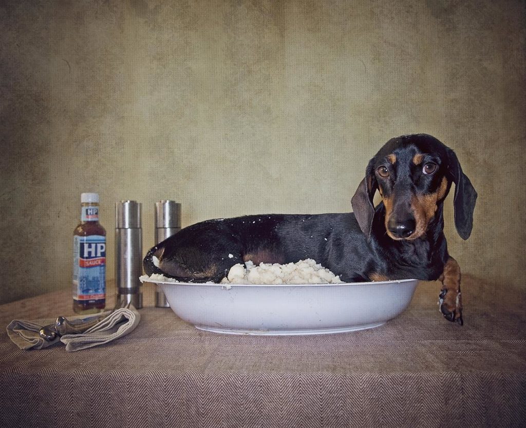 Image source: Serena Hodson