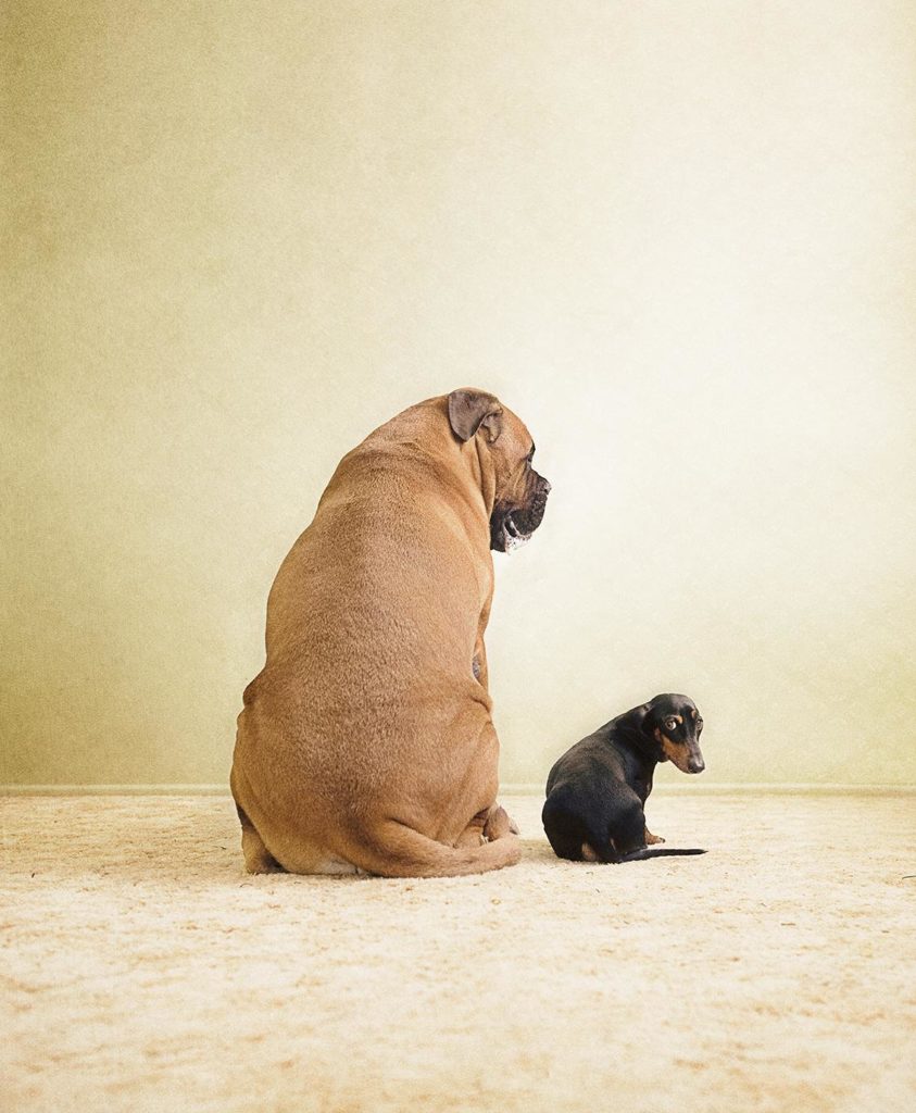 Image source: Serena Hodson