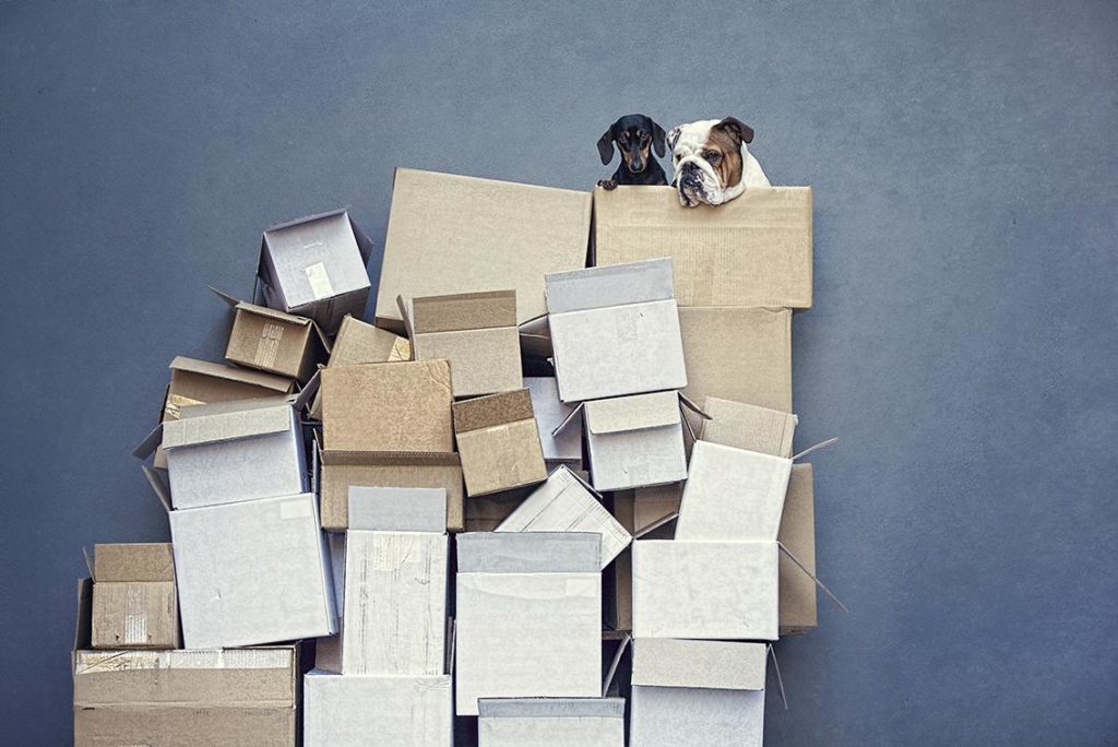 Image source: Serena Hodson