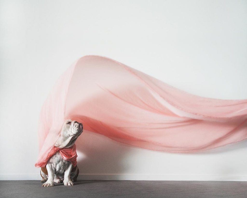 Image source: Serena Hodson