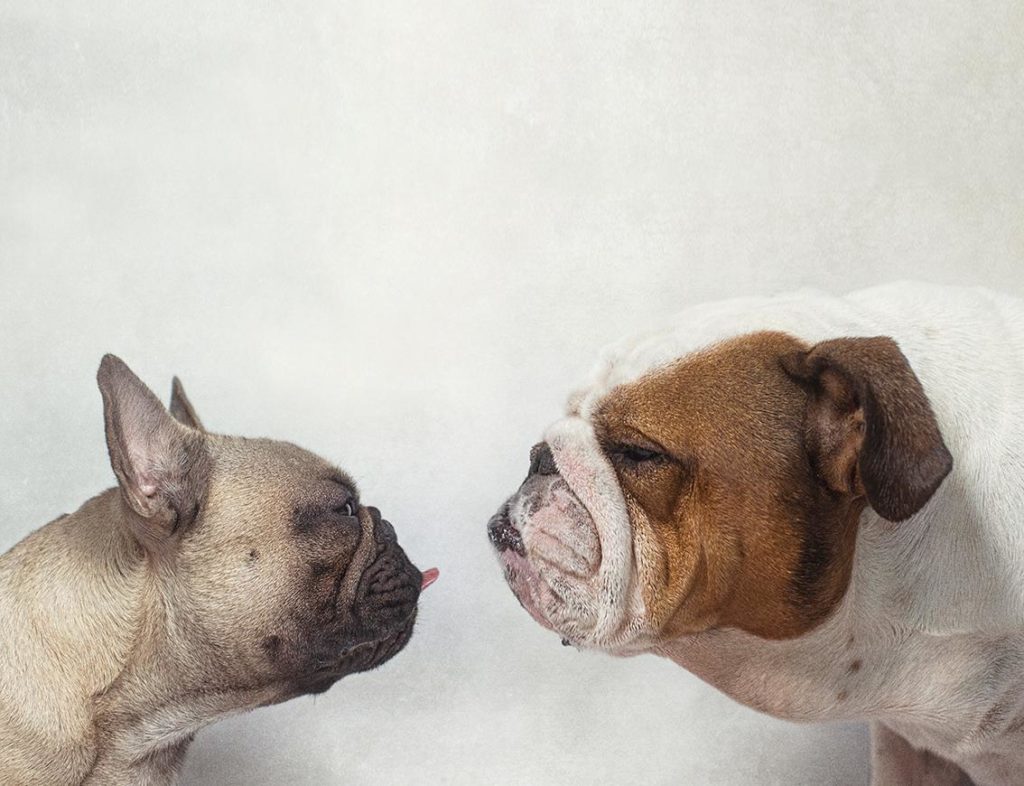 Image source: Serena Hodson