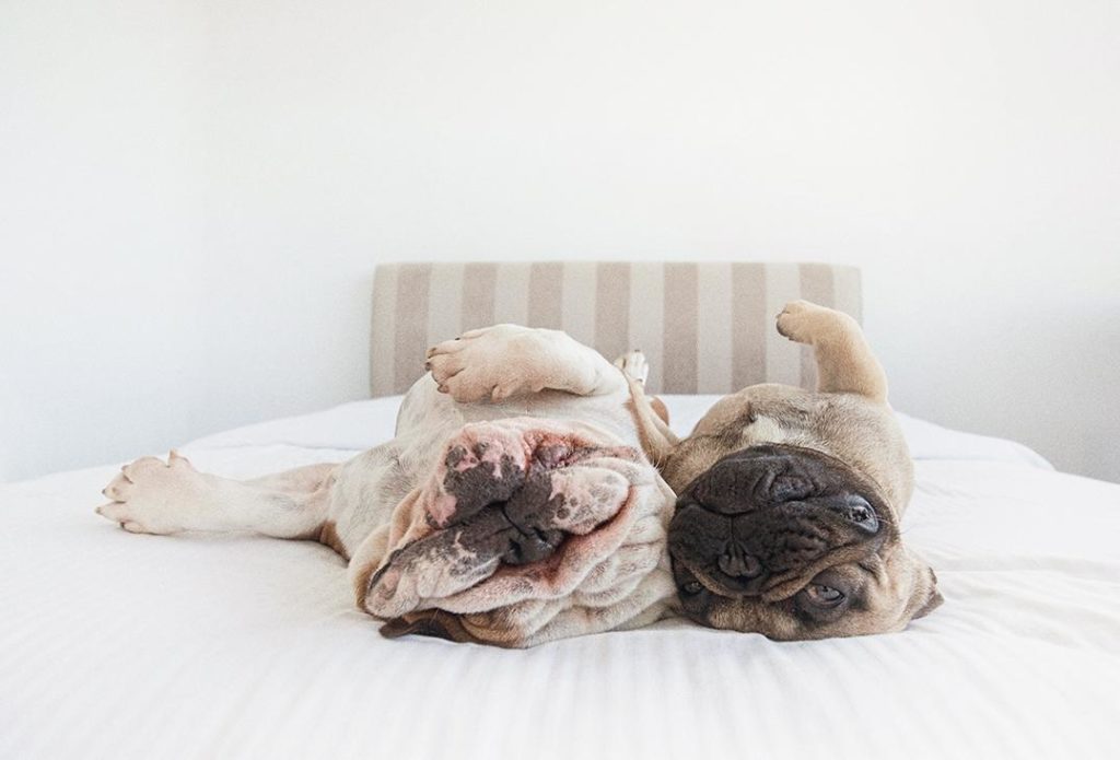 Image source: Serena Hodson