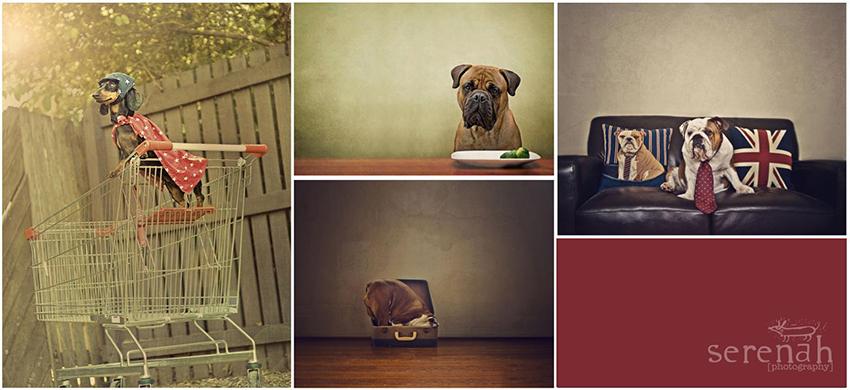 Image source: Serena Hodson