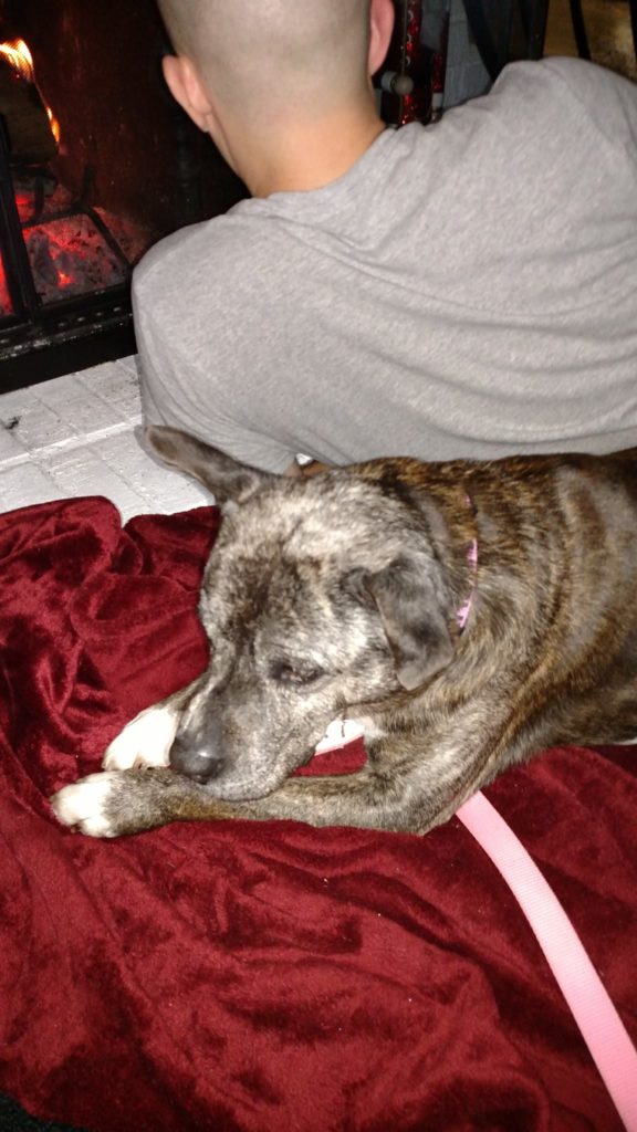 Image source: Olive Yonkers