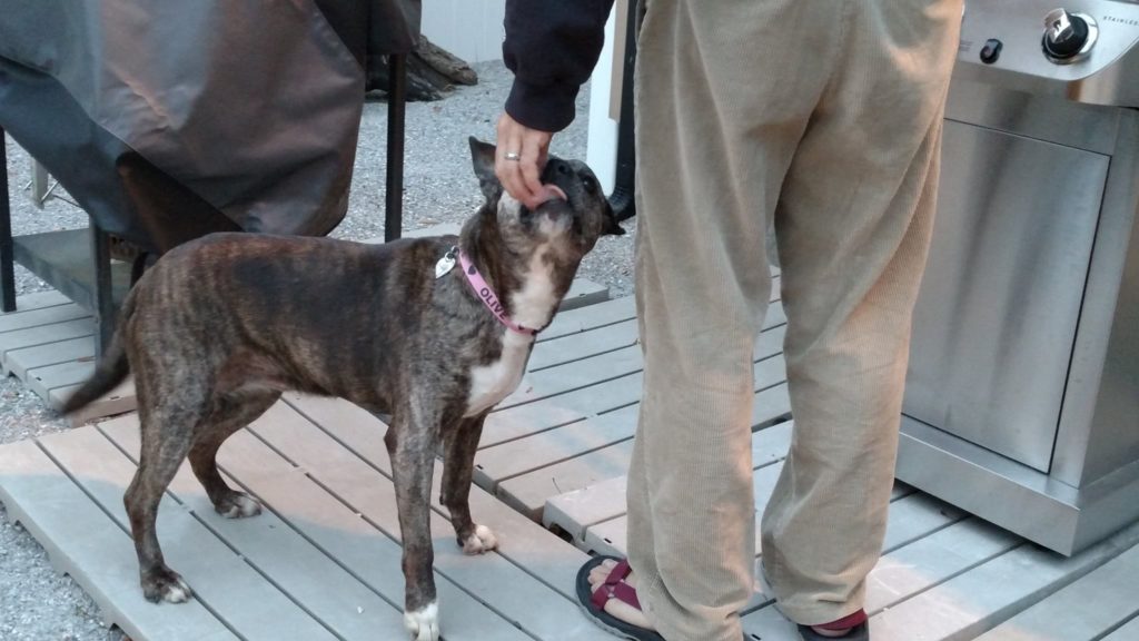 Image source: Olive Yonkers