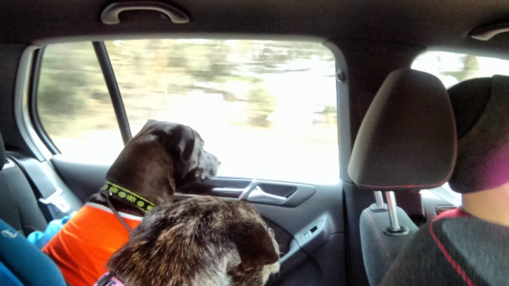 Image source: Olive Yonkers