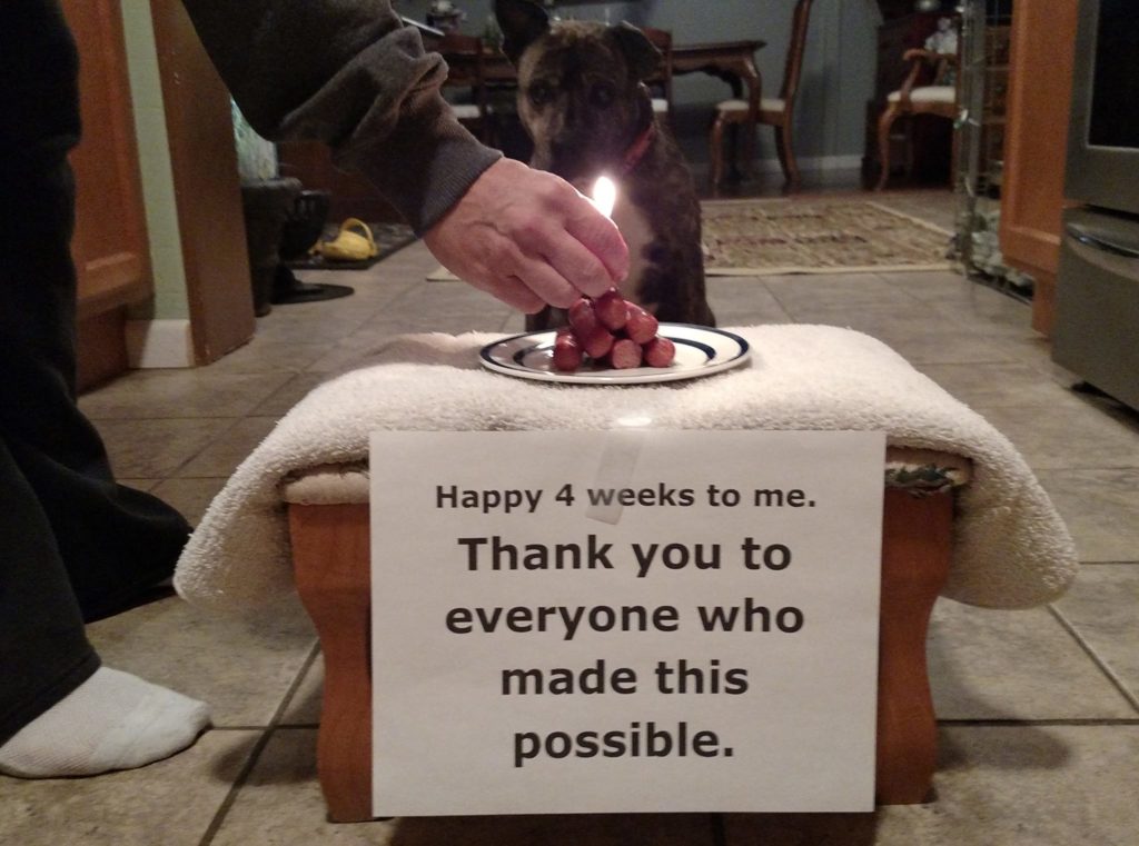 Image source: Olive Yonkers