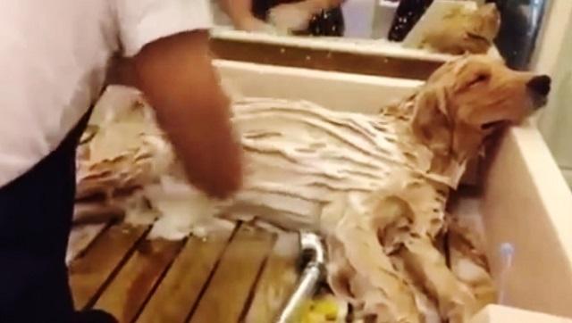 Source: FreeStuffWorld - Facebook