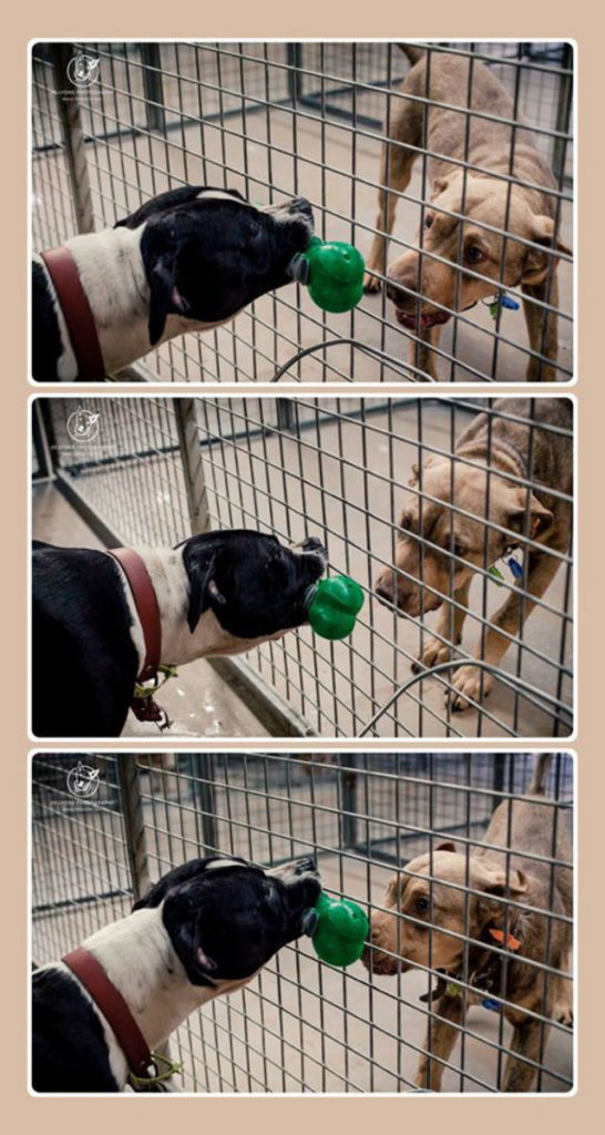 Source: Jo Lyons Photography - Facebook