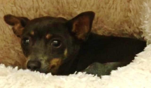 Source: News 12 Texas