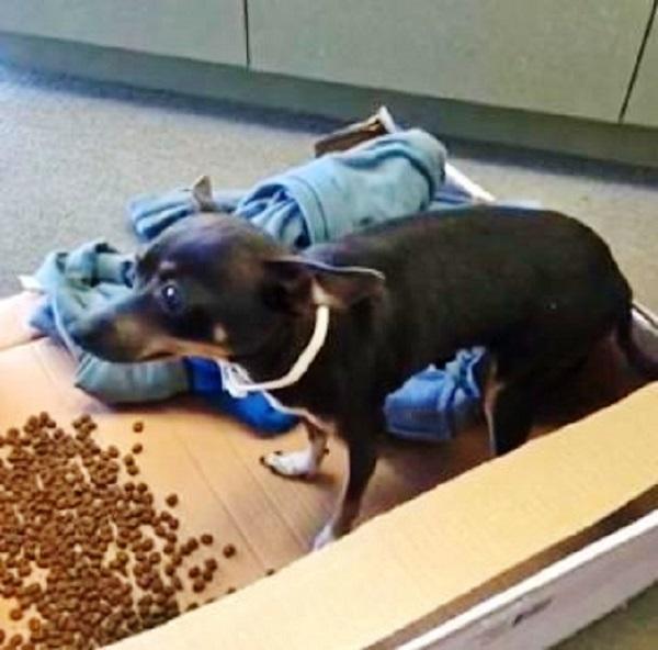 Source: News 12 Texas