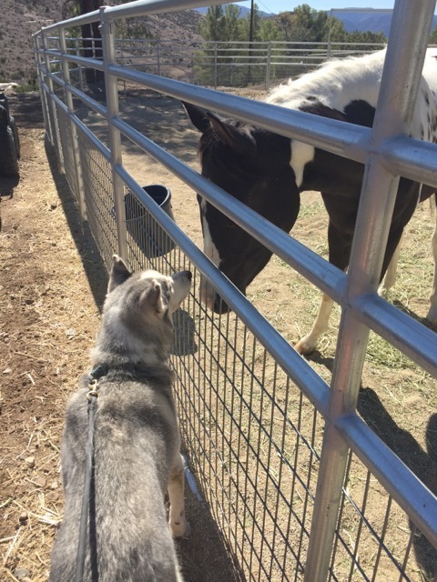 Source: Shannon Keith - Facebook