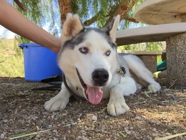 Source: Shannon Keith - Facebook