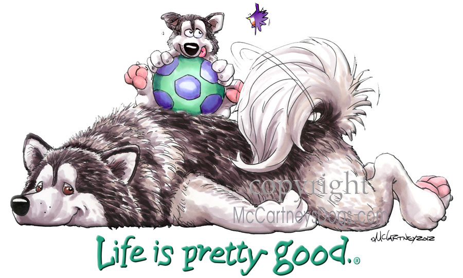 Image source: Mike McCartney