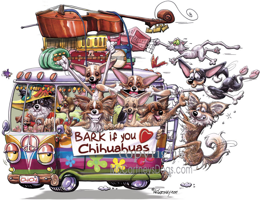 Image source: Mike McCartney