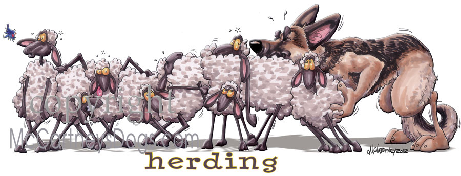 Image source: Mike McCartney