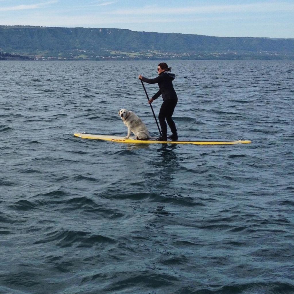 Image source: Mallory Paige