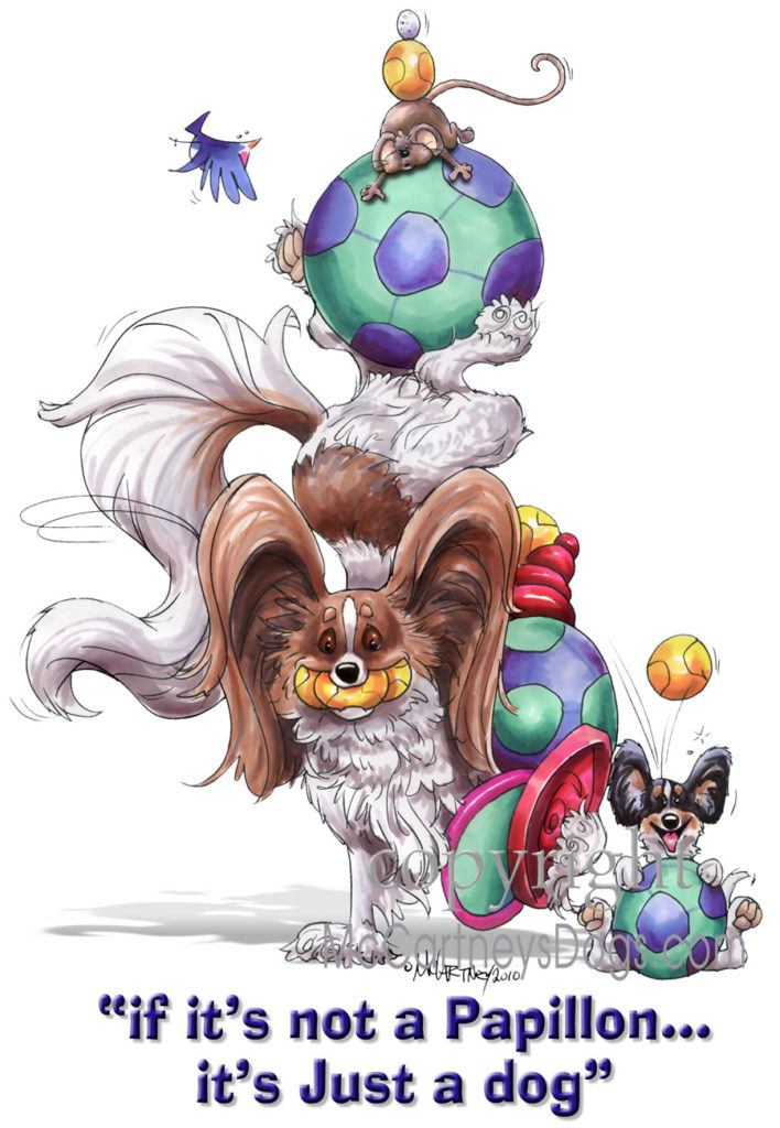 Image source: Mike McCartney