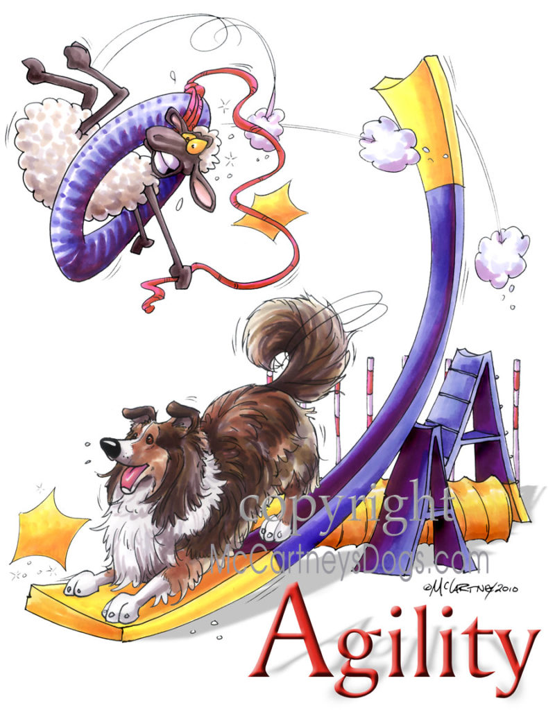 Image source: Mike McCartney