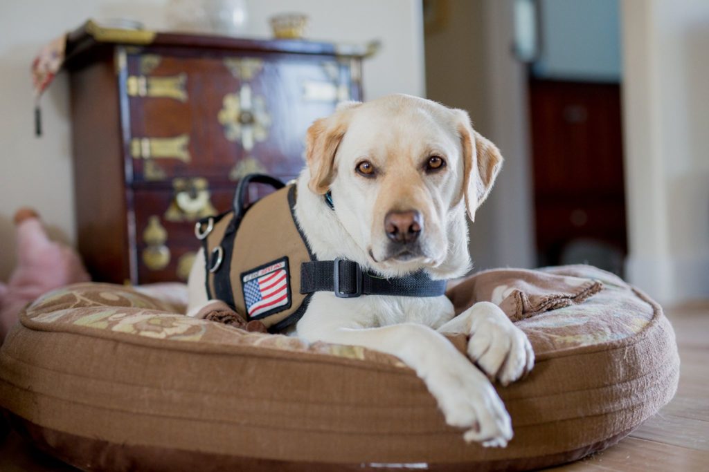 11024826_10206680387436105_4534934303311731353_o