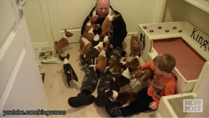 Source: HuffPost Good News - Facebook Video Screenshot