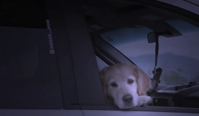 Source: ABC 4 Utah -Facebook