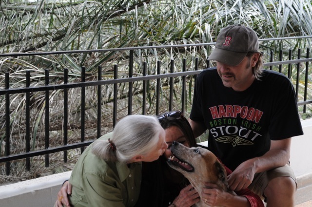 Credit: Jenny Desmond / Source: The Dodo