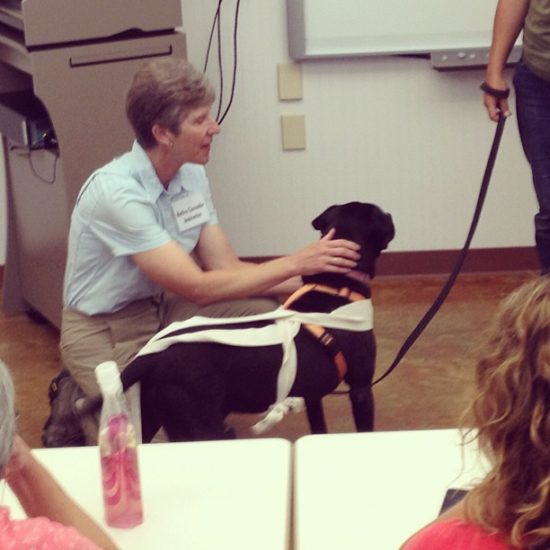 8 Tips To Help Your Nervous Dog Relax