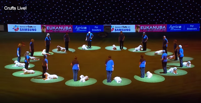 Crufts3