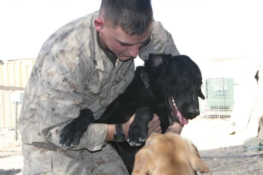  MWD Cena and Marines Lance Corporal Jeff DeYoung . Image source: American Humane Association