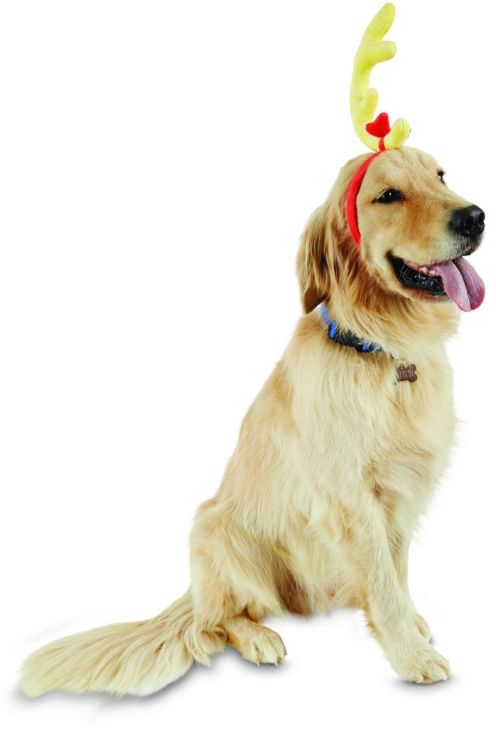 d2 DRSEUSS_DOG_APPAREL